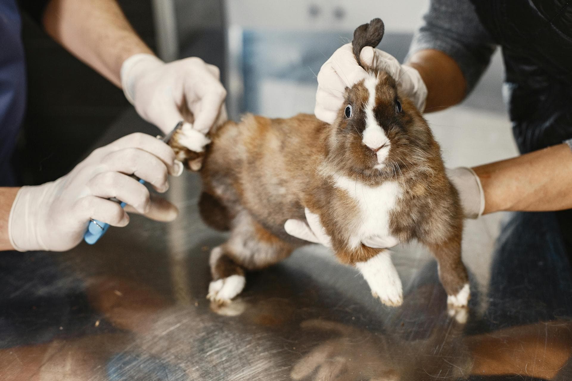 Annual Vaccination Booster Prices in Norwich